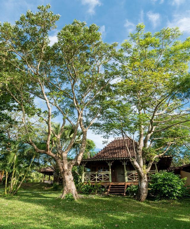 Green Umalas Resort Семиньяк Экстерьер фото